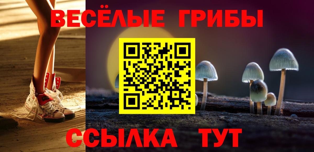 Галлюциногенные грибы GOLDEN TEACHER  Галлюциногенные грибы GOLDEN TEACHER  Видное  Вход с VPN 